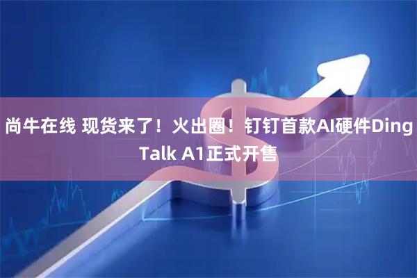 尚牛在线 现货来了！火出圈！钉钉首款AI硬件DingTalk A1正式开售